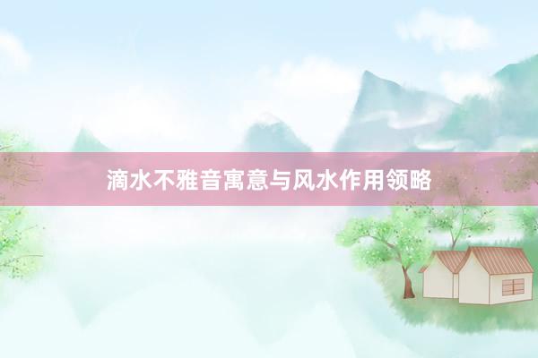 滴水不雅音寓意与风水作用领略