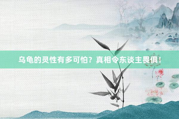 乌龟的灵性有多可怕?真相令东谈主畏俱!